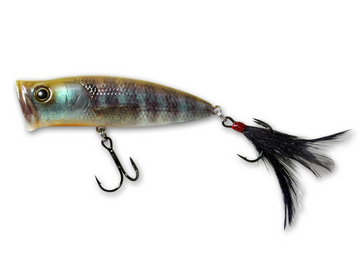 DEPS PULSECOD - 0