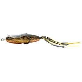Buy gold-shad NORIES HOSHOKUON