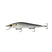 Threadfin Shad