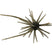 #127 Green Pumpkin Pepper/Blue Flake