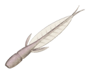 EVERGREEN INTERNATIONSL C-4 LEECH-2