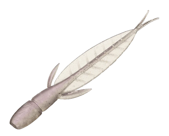 EVERGREEN INTERNATIONSL C-4 LEECH