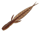 EVERGREEN INTERNATIONSL C-4 LEECH-3