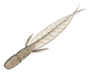 EVERGREEN INTERNATIONSL C-4 LEECH-4