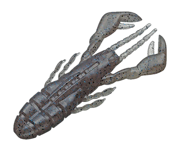 Buy crayfish EVERGREEN CLAW MOTION