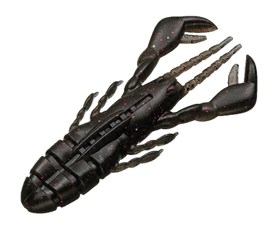 EVERGREEN CLAW MOTION