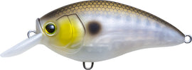 Buy matte-gizzard-shad YO-ZURI 3DR-X CRANK SR (SHALLOW RUNNER)