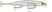 Bud