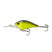 Sexified Chartreuse Shad