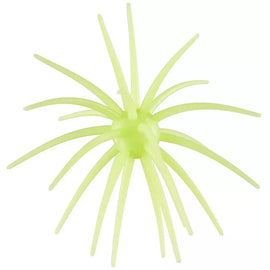 Buy llano-lime HAG'S PRICKLY PEAR