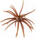 Mesquite Magic