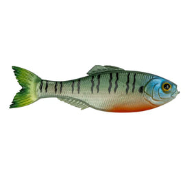 Buy 4k-bluegill 6TH SENSE PANORAMA