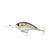 Ghost Threadfin Shad