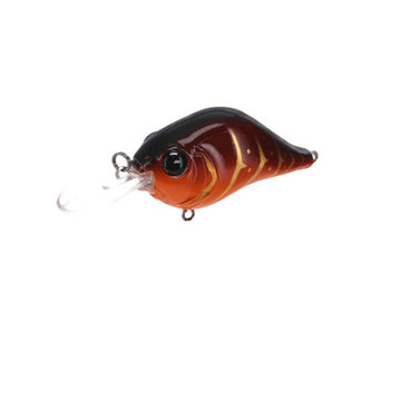 Buy rayburn-red-craw BILL LEWIS MID-RANGE MR6
