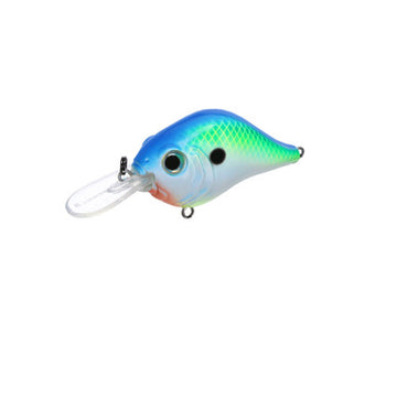 Buy citrus-shad BILL LEWIS MID-RANGE MR6