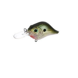 Buy green-gizzard-shad BILL LEWIS MID-RANGE MR-6 CRANKBAIT