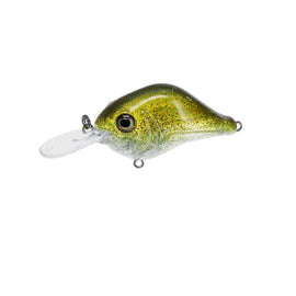 Buy smallie-magic BILL LEWIS MID-RANGE MR-6 CRANKBAIT