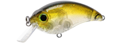 BILL LEWIS ATV SQUAREBILL