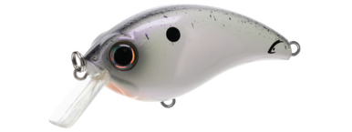 BILL LEWIS ATV SQUAREBILL