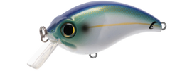 Buy threadfin-2-0 BILL LEWIS ATV SQUAREBILL