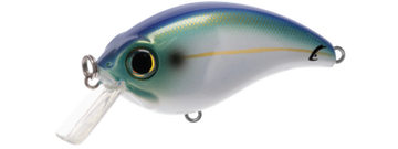 Buy threadfin-shad BILL LEWIS ATV SQUAREBILL