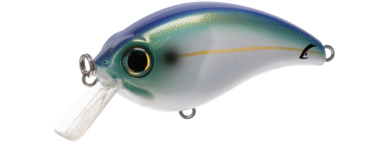 BILL LEWIS ATV SQUAREBILL