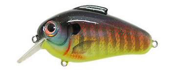 Buy sunrise-perch BILL LEWIS ECHO 1.75