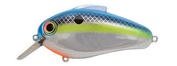 Buy sexy-chrome BILL LEWIS ECHO 1.75