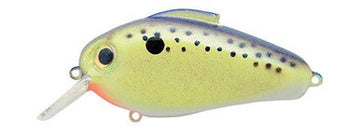 BILL LEWIS ECHO 1.75