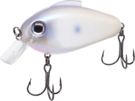 Buy oyster BILL LEWIS ECHO 1.75