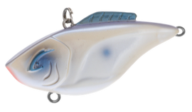 Buy oyster BILL LEWIS HAMMER TRAP