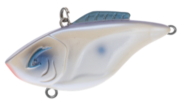 Buy oyster BILL LEWIS HAMMER TRAP