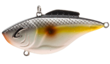 Buy sneaky-shad BILL LEWIS KNOCKIN HAMMER TRAP