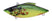 Chartreuse Bleeding Shad