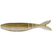 Tennesee Shad - 994