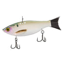 BILL LEWIS BIG GIZZ-3