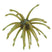 301 - Green Pumpkin Purple Green