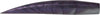 BERKLEY GULP! SALTWATER DRAGON TAIL