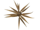 HIDEUP COIKE FISH M ELASTOMER-1