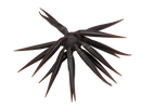 HIDEUP COIKE FISH M ELASTOMER-2