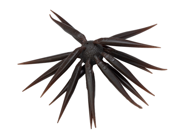 HIDEUP COIKE FISH M ELASTOMER