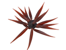 HIDEUP COIKE FISH M ELASTOMER-3