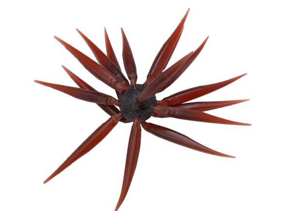 HIDEUP COIKE FISH M ELASTOMER