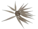 HIDEUP COIKE FISH M ELASTOMER-6