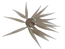 Buy 242-ebi-dappi HIDEUP COIKE FISH M ELASTOMER