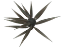 HIDEUP COIKE FISH M ELASTOMER-7