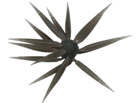 Buy 243-tamaranbai-dark-shrimp HIDEUP COIKE FISH M ELASTOMER