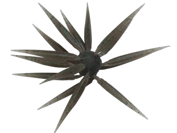 Buy 243-tamaranbai-dark-shrimp HIDEUP COIKE FISH M ELASTOMER
