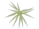 HIDEUP COIKE FISH M ELASTOMER-10
