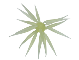 Buy 286-squash-lemon HIDEUP COIKE FISH M ELASTOMER